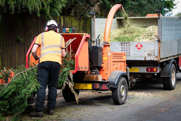 Best Leaf Removal  in Liberty Corner, NJ