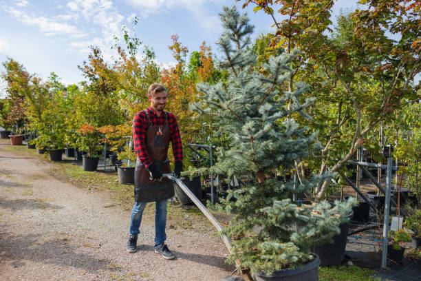  Liberty Corner, NJ Tree Services Pros